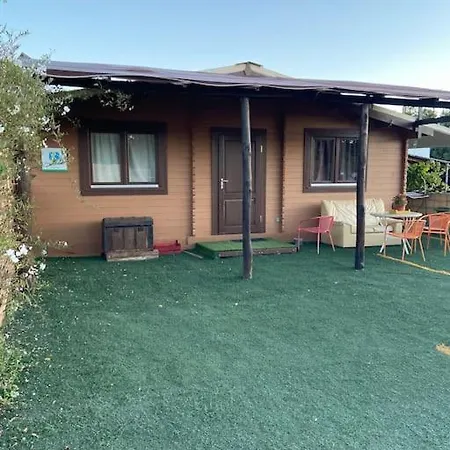 Holiday home Rural El Molino - Jacuzzi *
